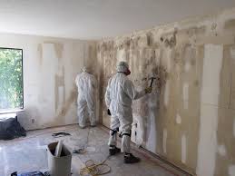 Best Real Estate Mold Inspection  in Howland Center, OH